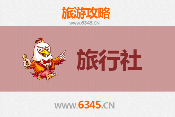 深圳宝安本地旅行社推荐：精选优质服务，畅游湾区之心